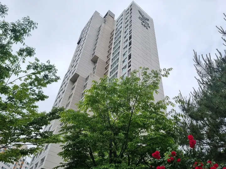붉은 장미가 핀 화단과 고층 동