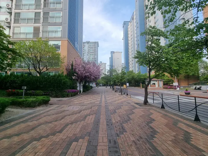 정문에서 이어지는 넓은 보행로
