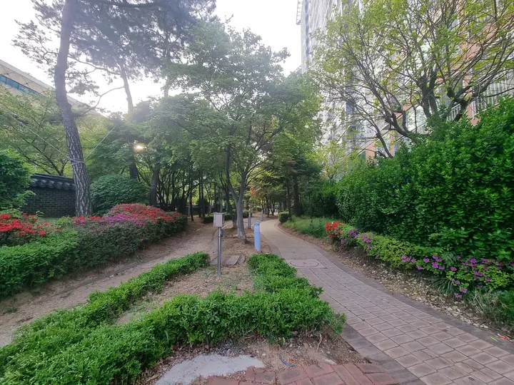 철쭉 화단 사이 산책로