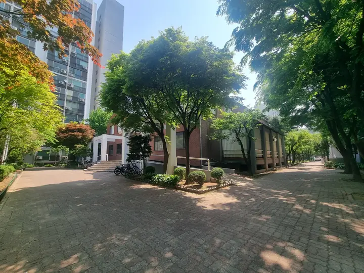 나무 그늘이 드리운 보행로