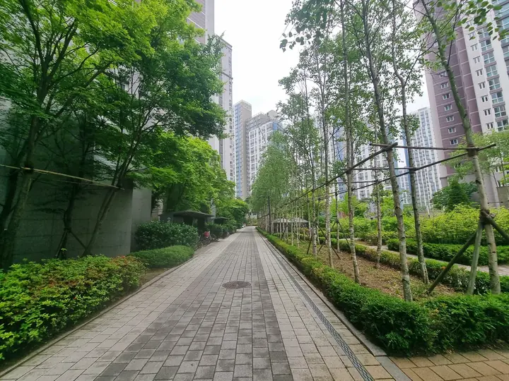 가로수가 늘어선 곧은 산책로