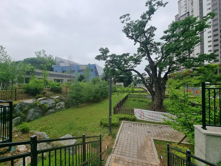 큰 나무와 바위가 놓인 정원