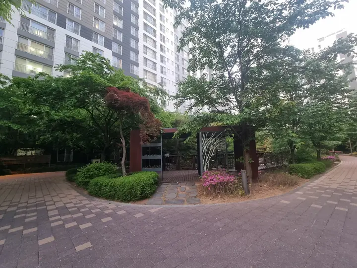 단풍나무 옆 쉼터 입구