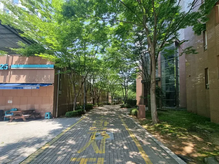 상가 옆 나무 그늘 보행로