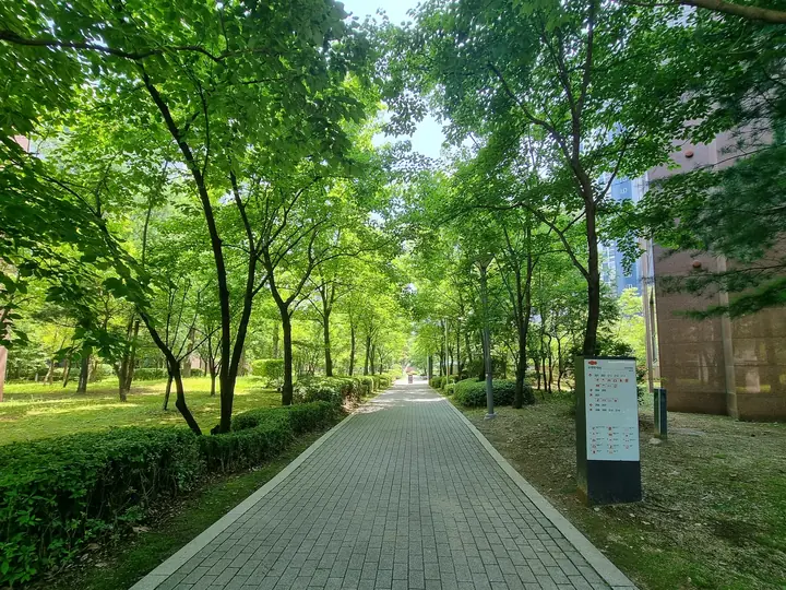 나무 사이로 곧게 뻗은 산책로