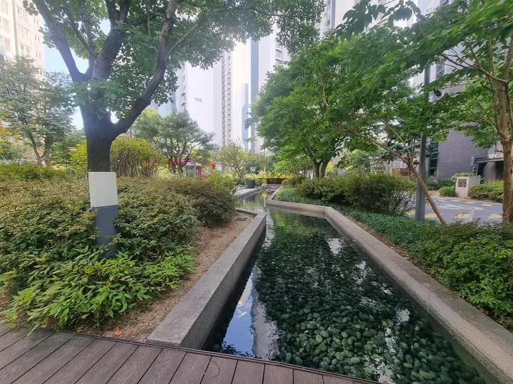 수로를 따라 이어지는 목재 데크