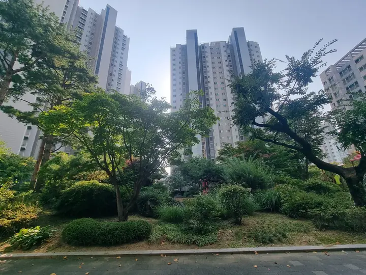단풍나무와 관목을 섞은 화단