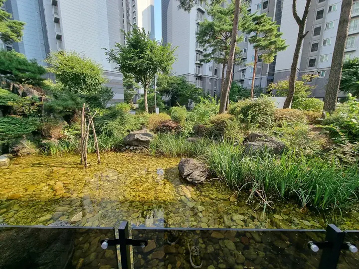 연못 가장자리 수생식물