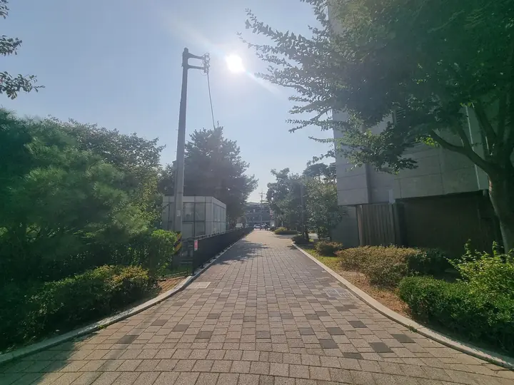 단지 외곽을 따라 난 산책로
