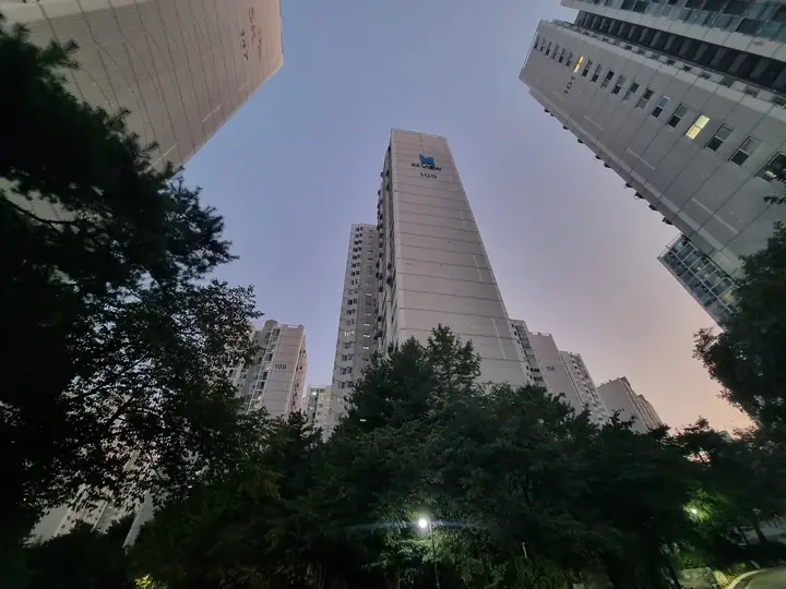 나무 사이로 올려다본 고층 동