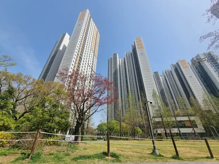 벚나무 너머로 보이는 고층 동들