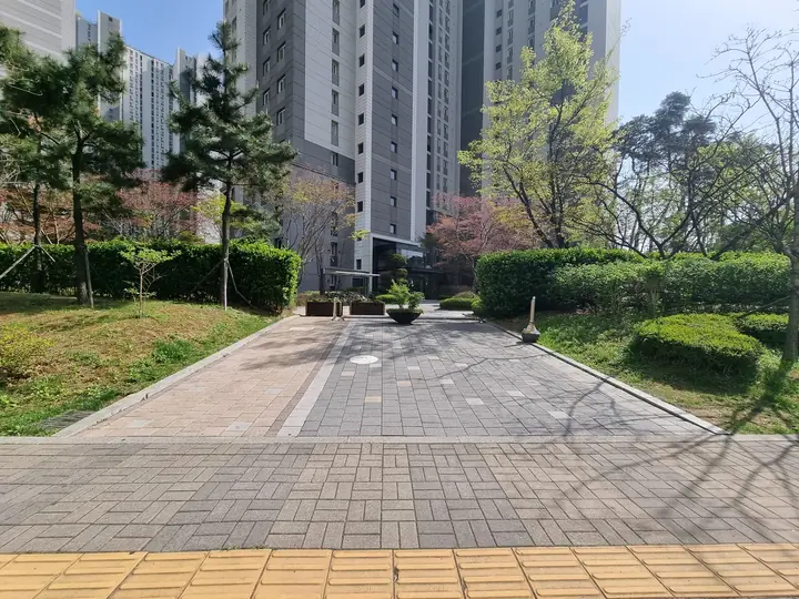 동 앞 보행 광장