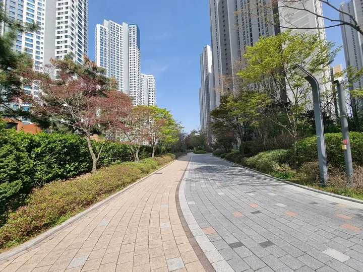 곡선으로 이어지는 산책로