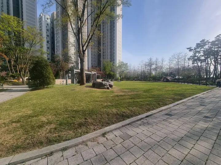 잔디마당을 따라 난 산책로