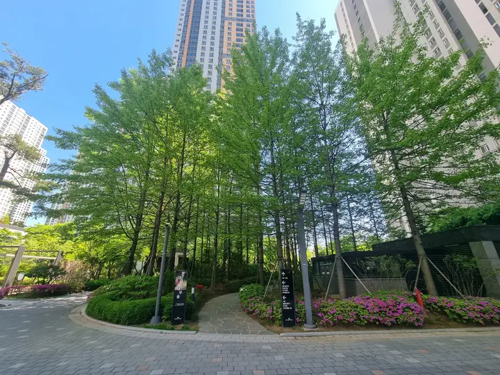 메타세쿼이아 숲 입구